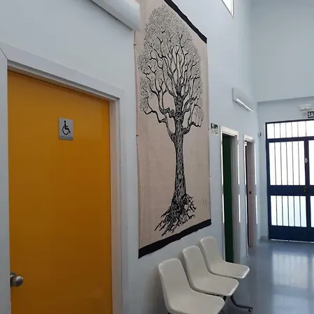 Ciudad De Hostel